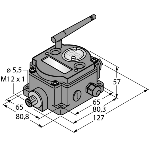 Радиопередающая система DX80DR2M-H12